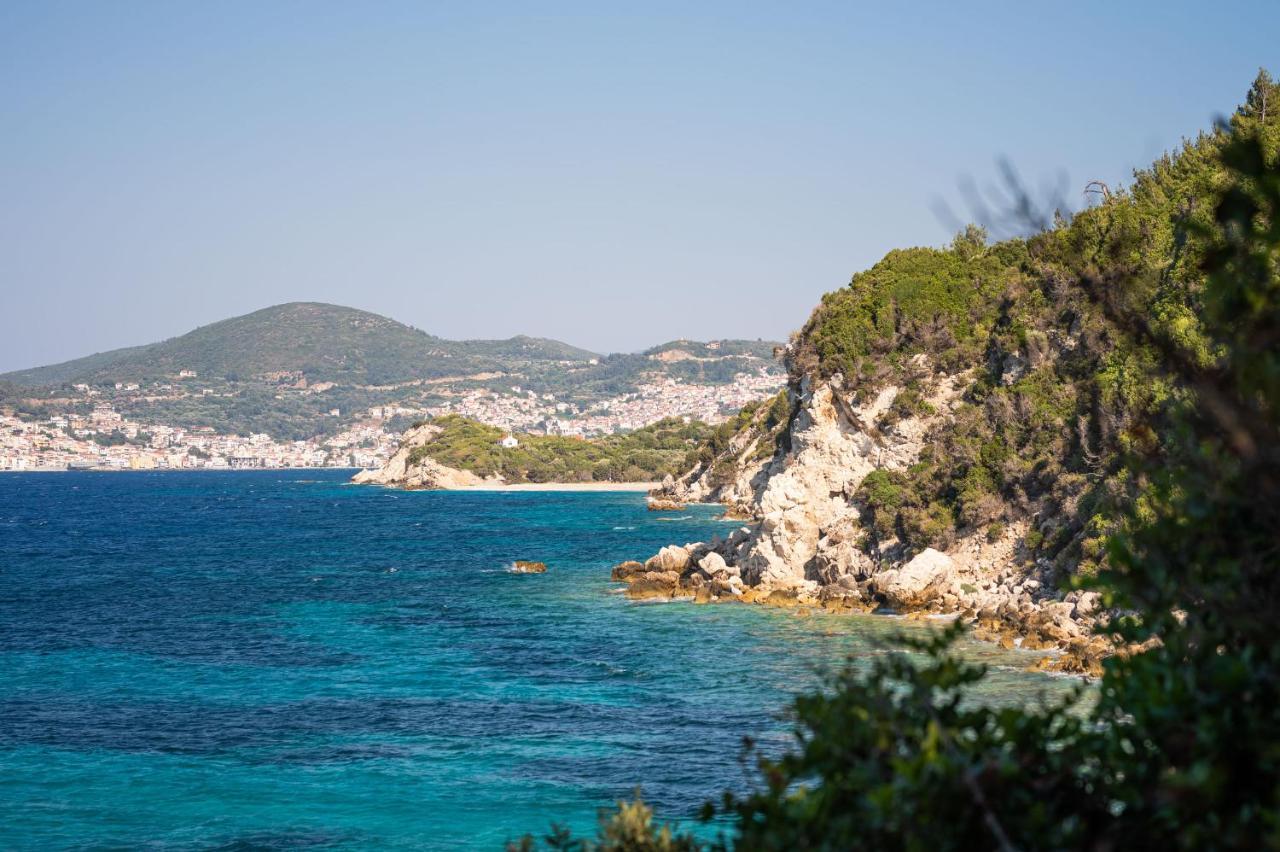 Blue Garden Samos Apartments Floka  Екстериор снимка